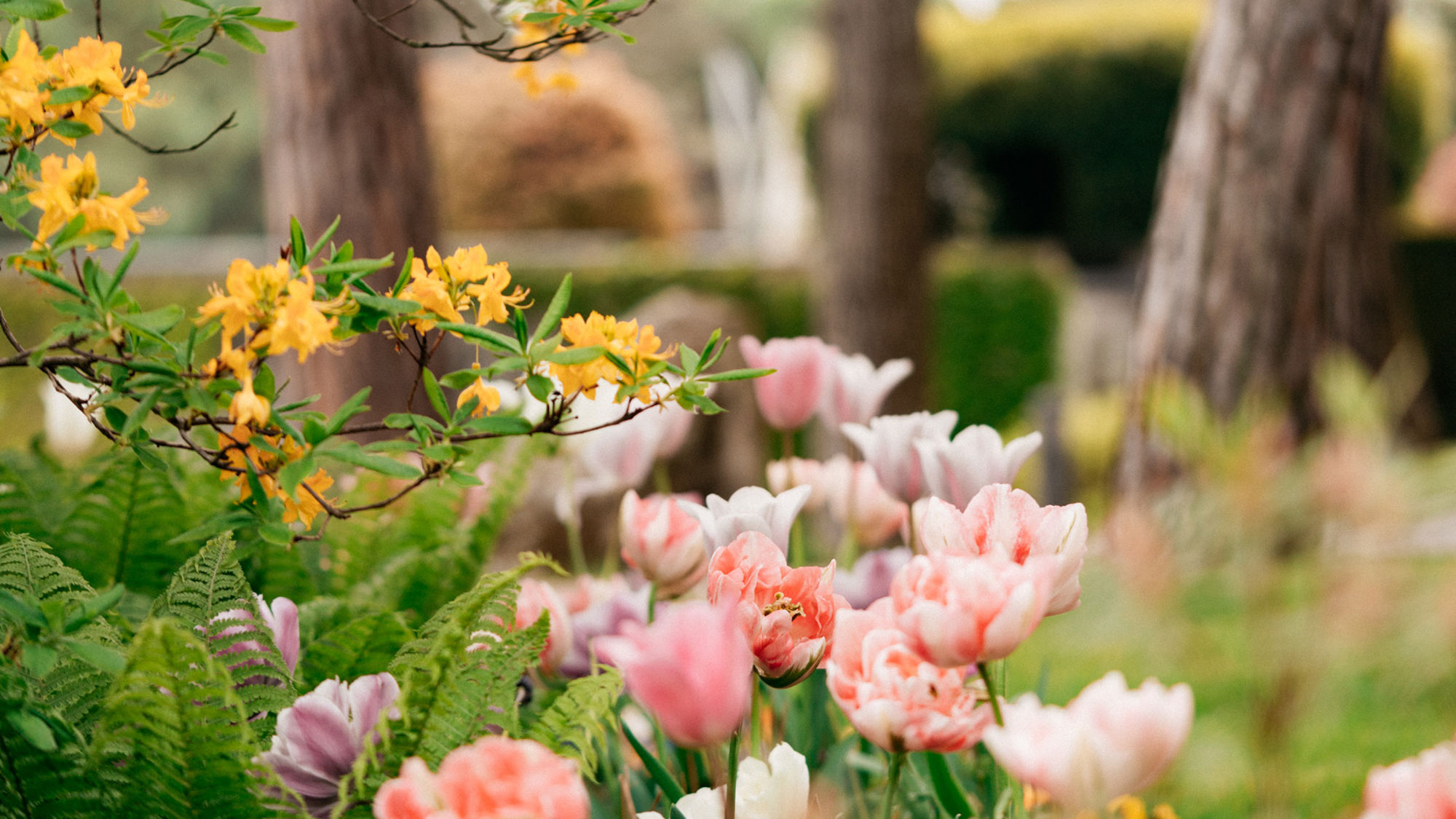beau-rivage-palace-jardins-fleurs-02.jpg